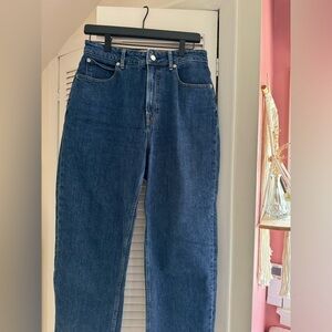 Everlane Curvy Way-High Jeans Size 29 Regular